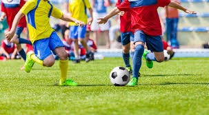 浙江FC青训变革助力球员成长迈向国际水平